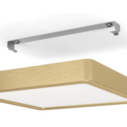 Eglo - LED laevalgusti LED/17W/230V 21x21 cm