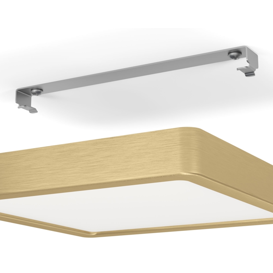 Eglo - LED laevalgusti LED/17W/230V 21x21 cm