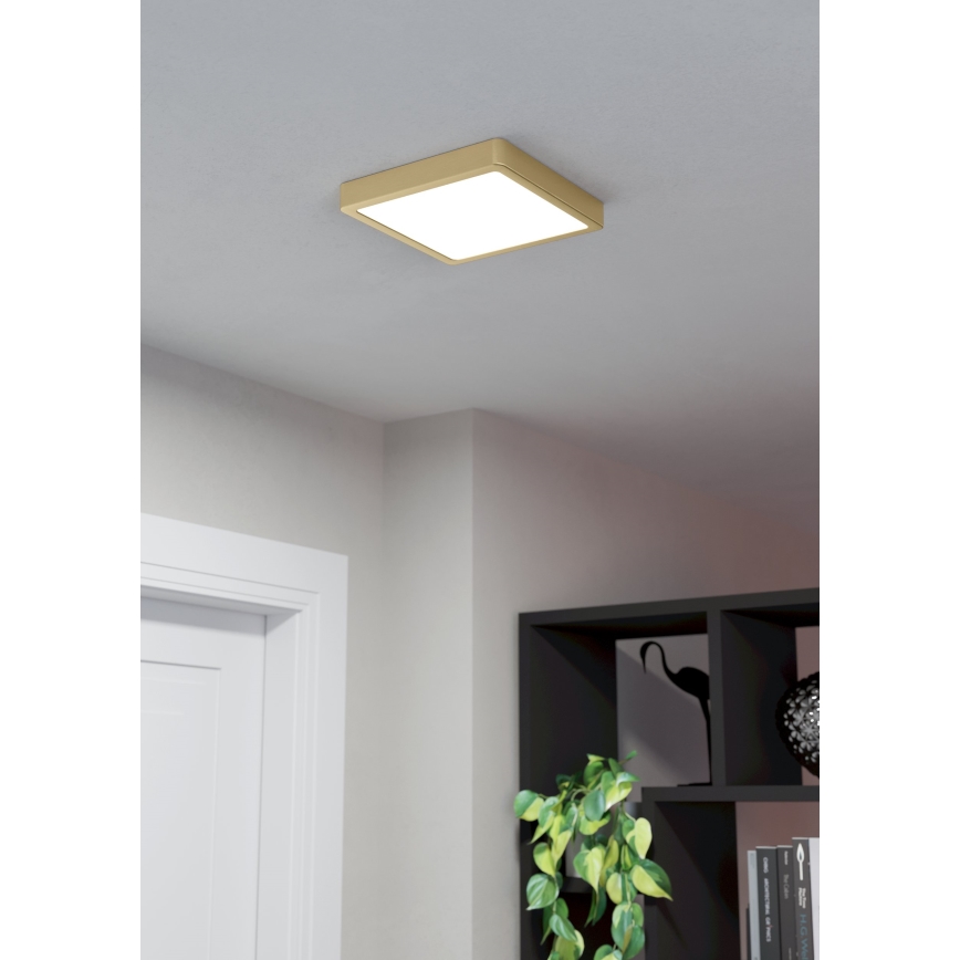 Eglo - LED Laevalgusti LED/17W/230V