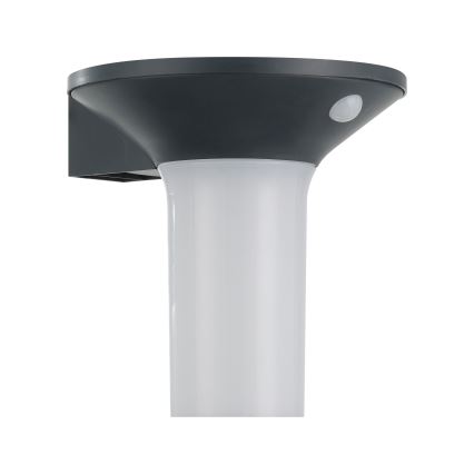 Eglo - LED päikesepaneeliga välisvalgusti anduriga 6xLED/0,03W/3,7V IP44
