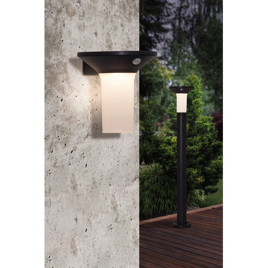 Eglo - LED päikesepaneeliga välisvalgusti anduriga 6xLED/0,03W/3,7V IP44