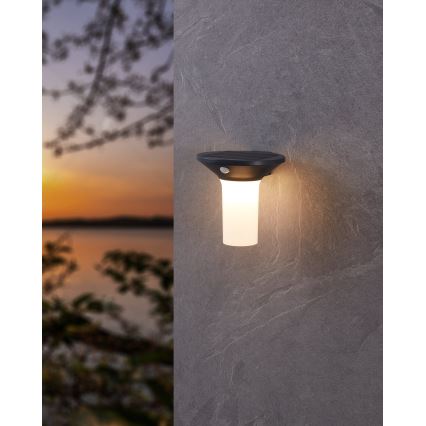 Eglo - LED päikesepaneeliga välisvalgusti anduriga 6xLED/0,03W/3,7V IP44