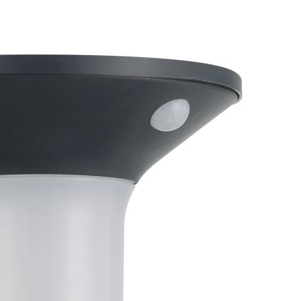 Eglo - LED päikesepaneeliga välisvalgusti anduriga 6xLED/0,03W/3,7V IP44