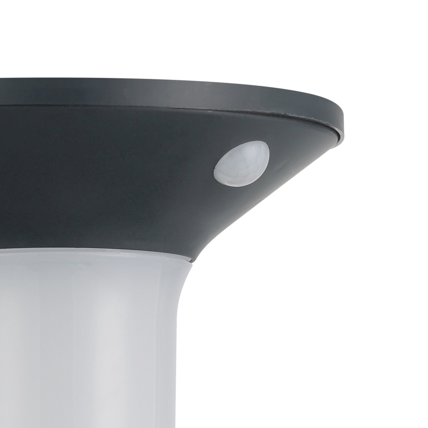 Eglo - LED päikesepaneeliga välisvalgusti anduriga 6xLED/0,03W/3,7V IP44