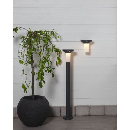 Eglo - LED Väli päikesepaneeliga valgusti anduriga 6xLED/0,03W/3,7V 1500 mAh IP44