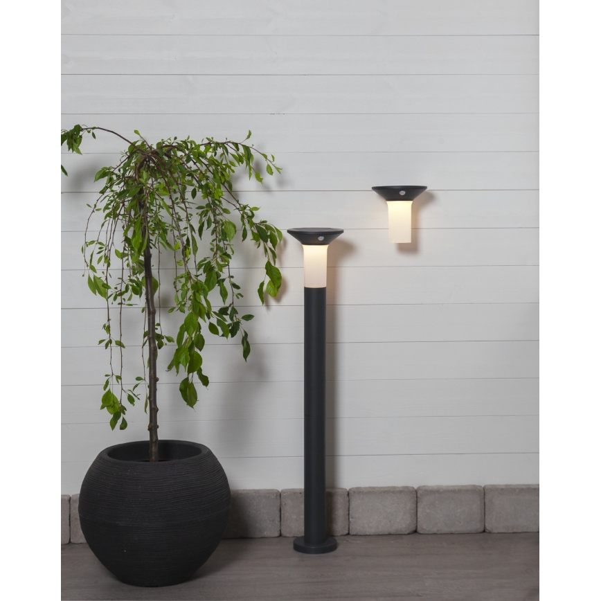 Eglo - LED Väli päikesepaneeliga valgusti anduriga 6xLED/0,03W/3,7V 1500 mAh IP44