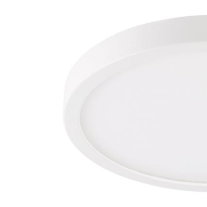 Eglo - LED Vannitoa laevalgusti LED/20,5W/230V IP44 valge