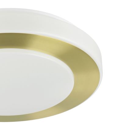 Eglo - LED Vannitoa laevalgusti LED/10,8W/230V IP44