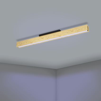 Eglo - LED RGB Hämardatav laevalgusti LED/35W/230V 2700-6500K