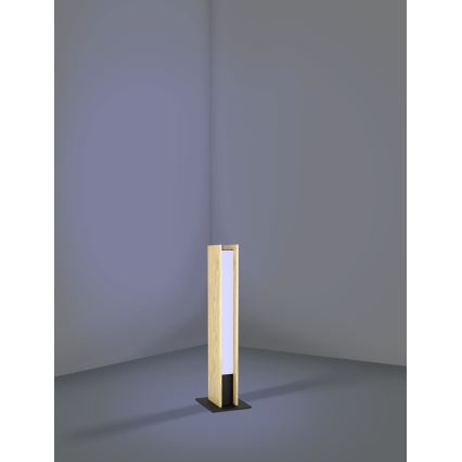 Eglo - LED RGBW Hämardatav laualamp LED/16W/230V 2700-6500K
