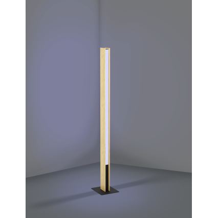 Eglo - LED RGBW Hämardatav põrandalamp LED/35W/230V 2700-6500K
