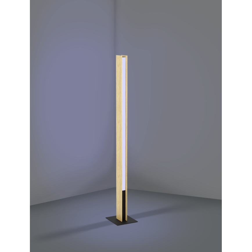 Eglo - LED RGBW Hämardatav põrandalamp LED/35W/230V 2700-6500K