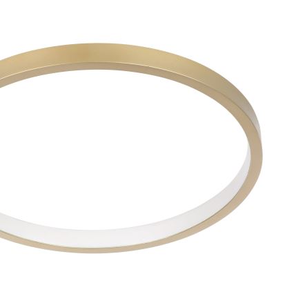 Eglo - LED Hämardatav laevalgusti LED/15W/230V kuldne + pult