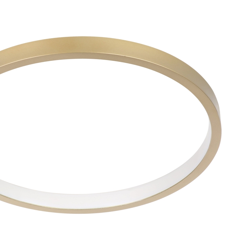 Eglo - LED Hämardatav laevalgusti LED/15W/230V kuldne + pult