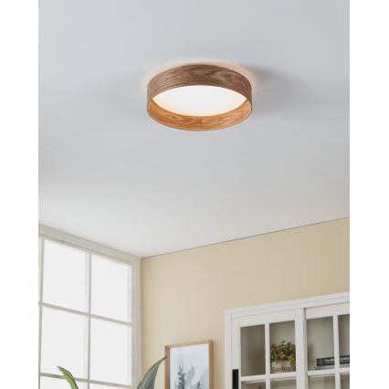Eglo - LED Laevalgusti LED/24W/230V