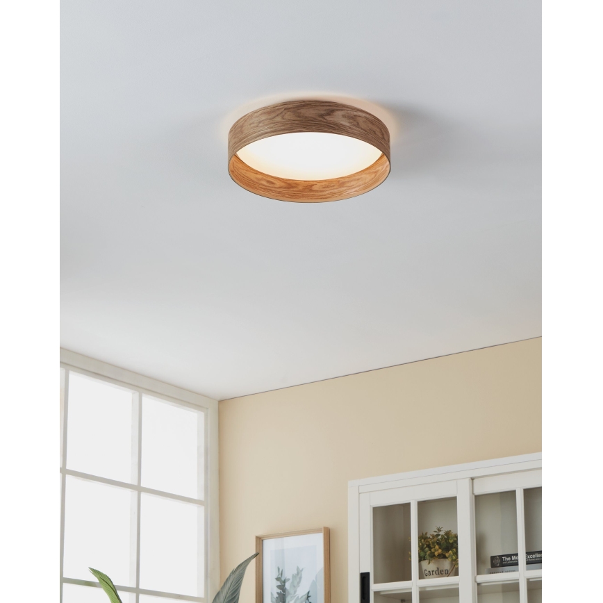 Eglo - LED Laevalgusti LED/24W/230V