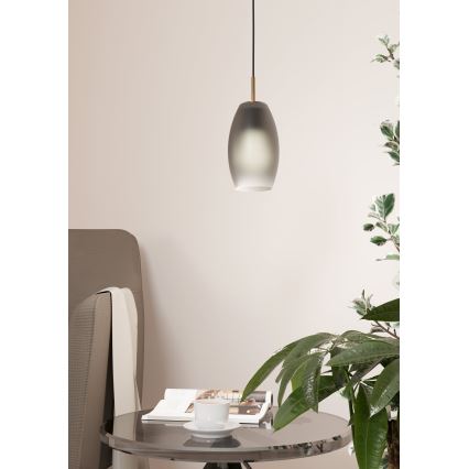 Eglo - Lühter 1xE27/40W/230V