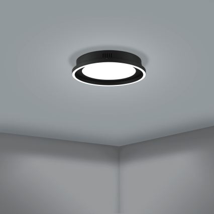 Eglo - LED Hämardatav laevalgusti LED/21,5W/230V + pult