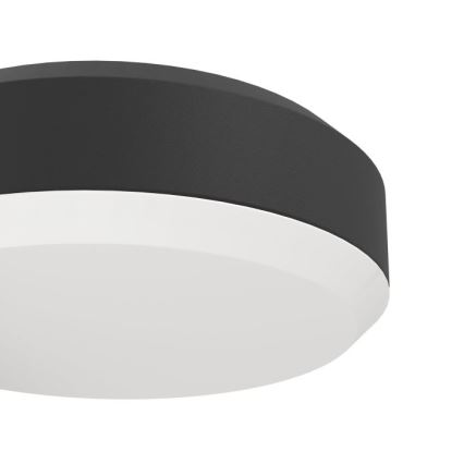 Eglo - LED Väli seinavalgusti LED/10,8/230V IP54