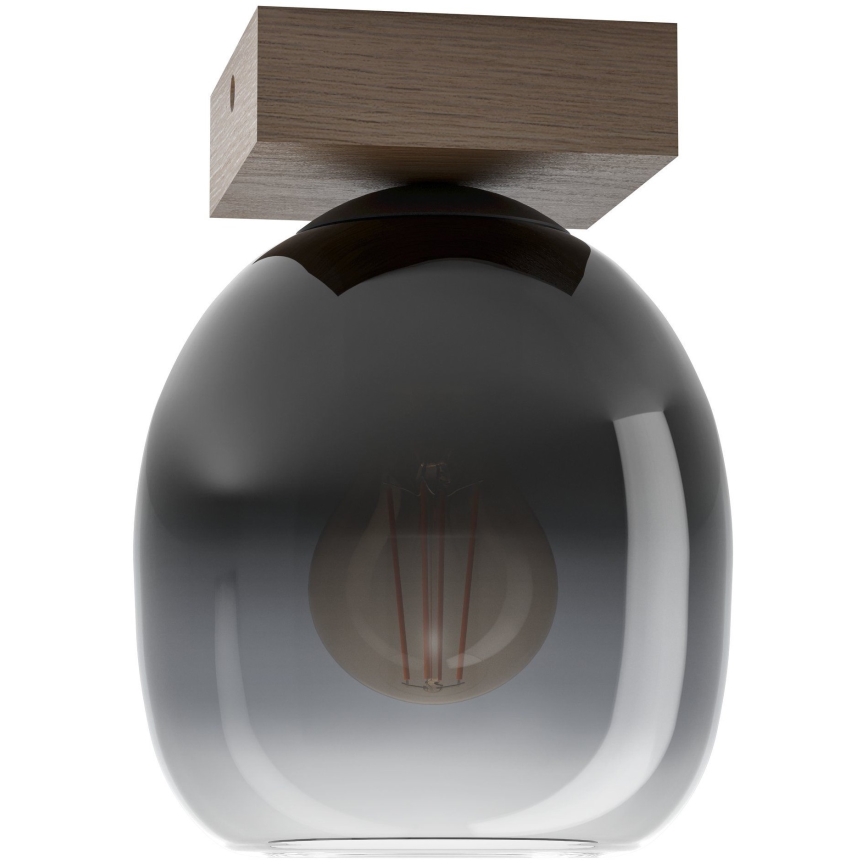 Eglo - Laevalgusti 1xE27/40W/230V
