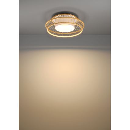 Eglo - LED RGB Hämardatav laevalgusti LED/22W/230V 2700-6500K
