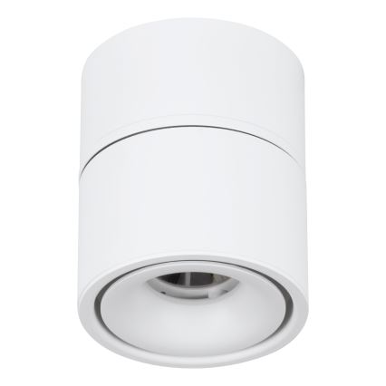 Eglo - LED Kohtvalgusti LED/8W/230V 3000K valge