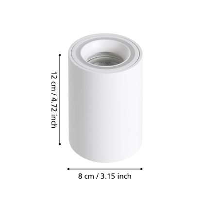 Eglo - LED RGBW Hämardatav kohtvalgusti LED/4,9W/230V 2700-6500K valge