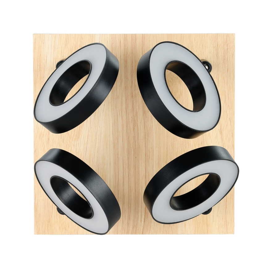 Eglo - LED-spottvalgusti 4xLED/4,2W/230V must/pruun