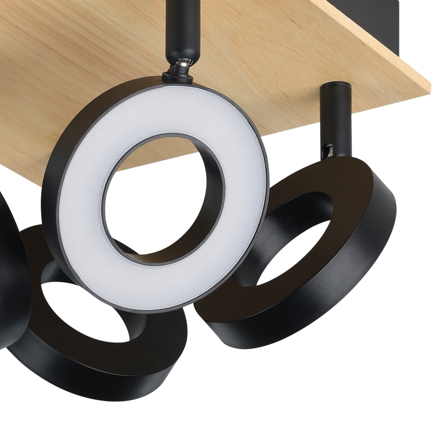 Eglo - LED-spottvalgusti 4xLED/4,2W/230V must/pruun