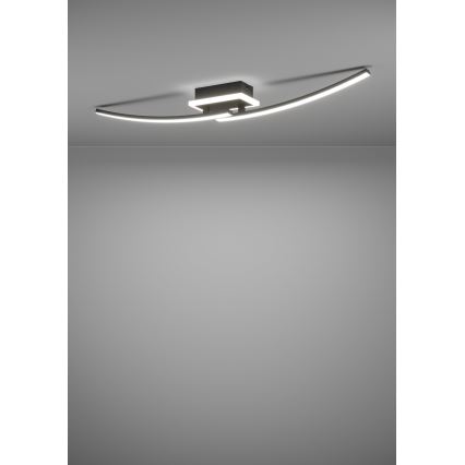 Eglo - LED Laevalgusti LED/12W/230V 4000K must