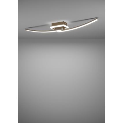 Eglo - LED Laevalgusti LED/12W/230V 4000K vask