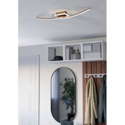 Eglo - LED Laevalgusti LED/12W/230V 4000K vask