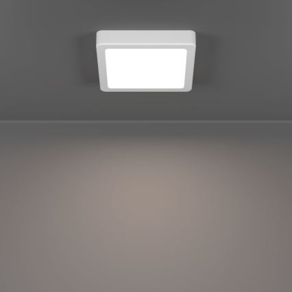 Eglo - LED laelamp LED/7W/230V 2700/4000/6500K 15x15 cm valge