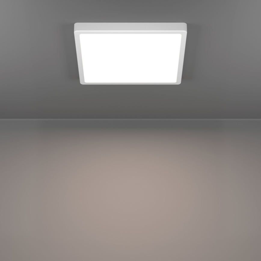 Eglo - LED laelamp LED/13W/230V 2700/4000/6500K 29x29 cm valge