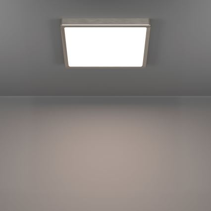 Eglo - LED laevalgusti LED/13W/230V 2700/4000/6500K 29x29 cm mattkroom