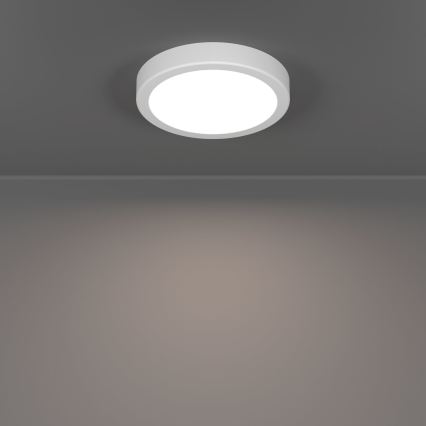 Eglo - LED-vannitoa laelamp LED/7,5W/230V läbimõõt 16,6 cm IP44 valge