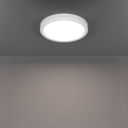 Eglo - LED vannitoa laelamp LED/11,5W/230V 2700/4000/6500K läbimõõt 21,1 cm IP44 valge