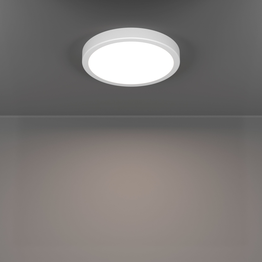 Eglo - LED vannitoa laelamp LED/11,5W/230V 2700/4000/6500K läbimõõt 21,1 cm IP44 valge