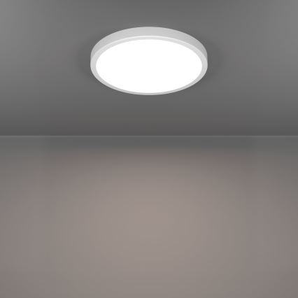 Eglo - LED vannitoa laevalgusti LED/14,2W/230V 2700/4000/6500K läbimõõt 27,8 cm IP44 valge