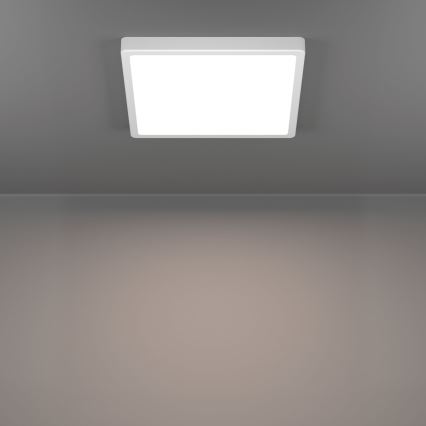 Eglo - LED vannitoa laevalgusti LED/13W/230V 29x29 cm IP44 valge