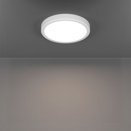 Eglo - LED RGBW hämardatav vannitoa laevalgusti LED/11,2W/230V 2700-6500K läbimõõt 21,1 cm IP44 valge