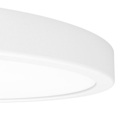 Eglo - hämardatav LED RGBW vannitoa laelamp LED/14,3W/230V 2700-6500K läbimõõt 27,8 cm IP44 valge