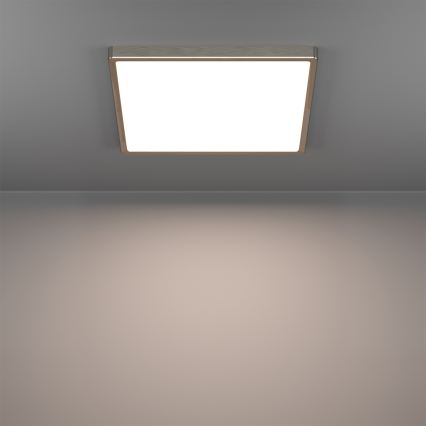 Eglo - LED RGBW hämardatav vannitoa laelamp LED/17,8W/230V 2700-6500K 39x39 cm IP44 mati kroom