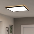 Eglo 901457 - LED Hämardatav laevalgusti vannituppa LED/17W/230V 2700-6500K 50x50 cm IP44 must + kaugjuhtimispult