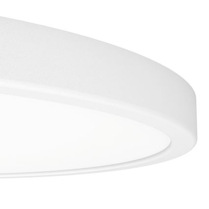 Eglo - LED RGBW hämardatav vannitoa laelamp LED/17,5W/230V 2700-6500K läbimõõt 38,9 cm IP44 valge