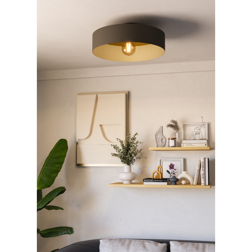 Eglo - Laevalgusti 1xE27/40W/230V hall