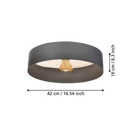 Eglo - Laevalgusti 1xE27/40W/230V hall