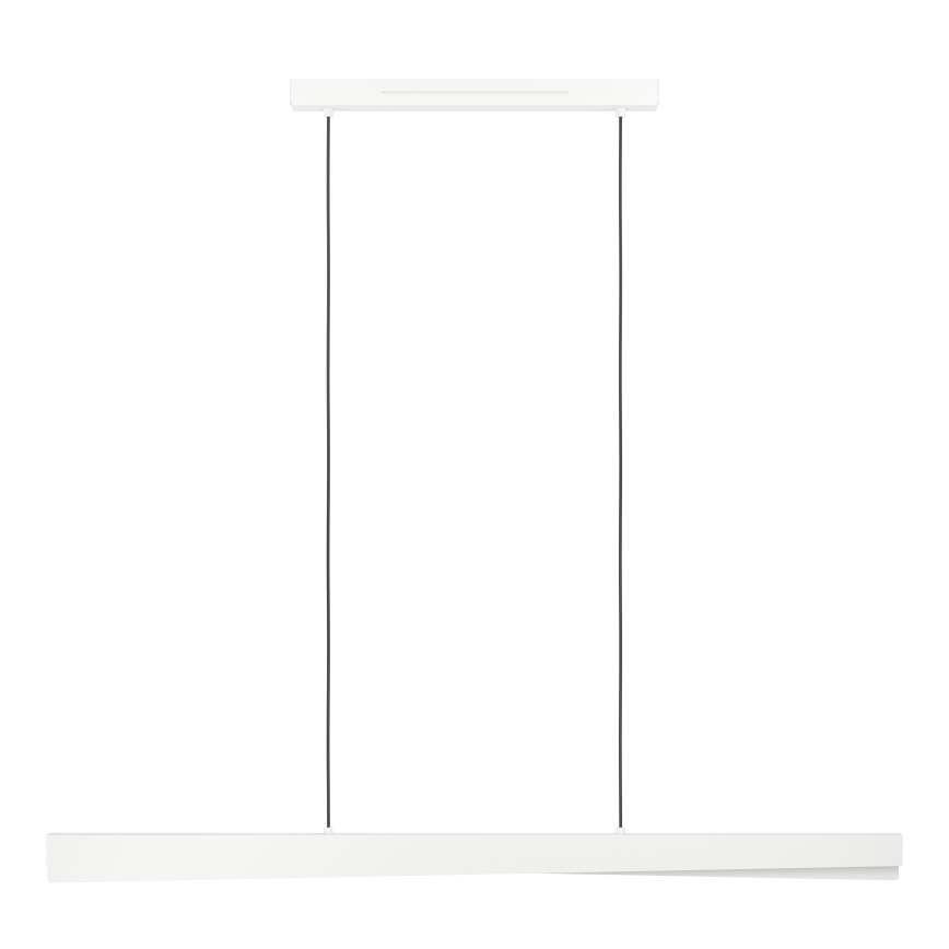 Eglo - LED RGBW hämardatav rippvalgusti kaabliga LED/19W/230V 2700-6500K hall