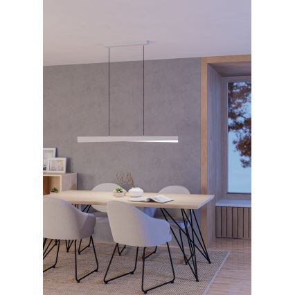 Eglo - LED RGBW hämardatav rippvalgusti kaabliga LED/19W/230V 2700-6500K hall