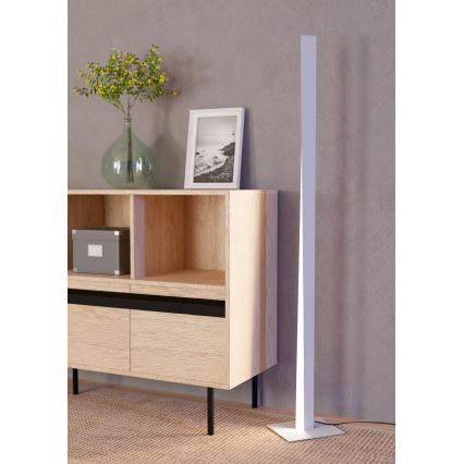 Eglo - LED RGBW hämardatav põrandalamp LED/10,5W/230V + LED/15,2W hall
